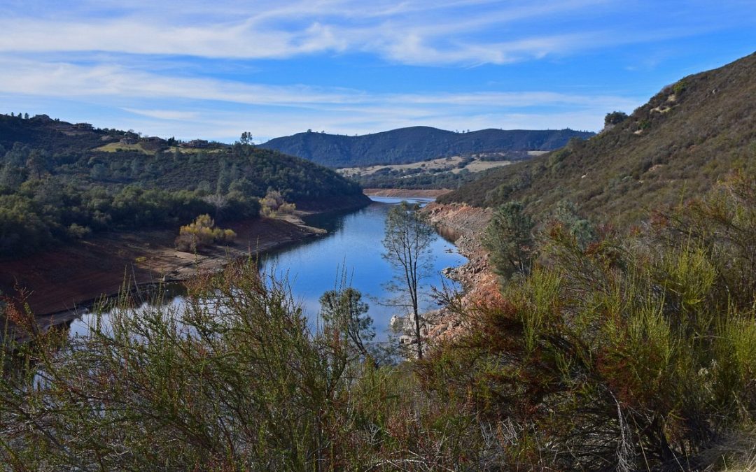 Exploring the Scenic Beauty of The Darrington Mountain Bike Trail in Folsom, California