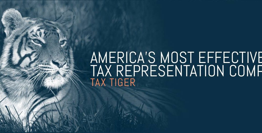 Facing IRS Tax Issues? Why Tax Tiger Should Be Your Go-To Partner