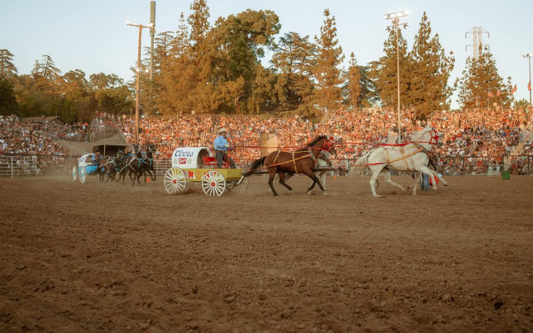 Saddle Up for Adventure: Unveiling the Folsom Pro Rodeo Hotel Package