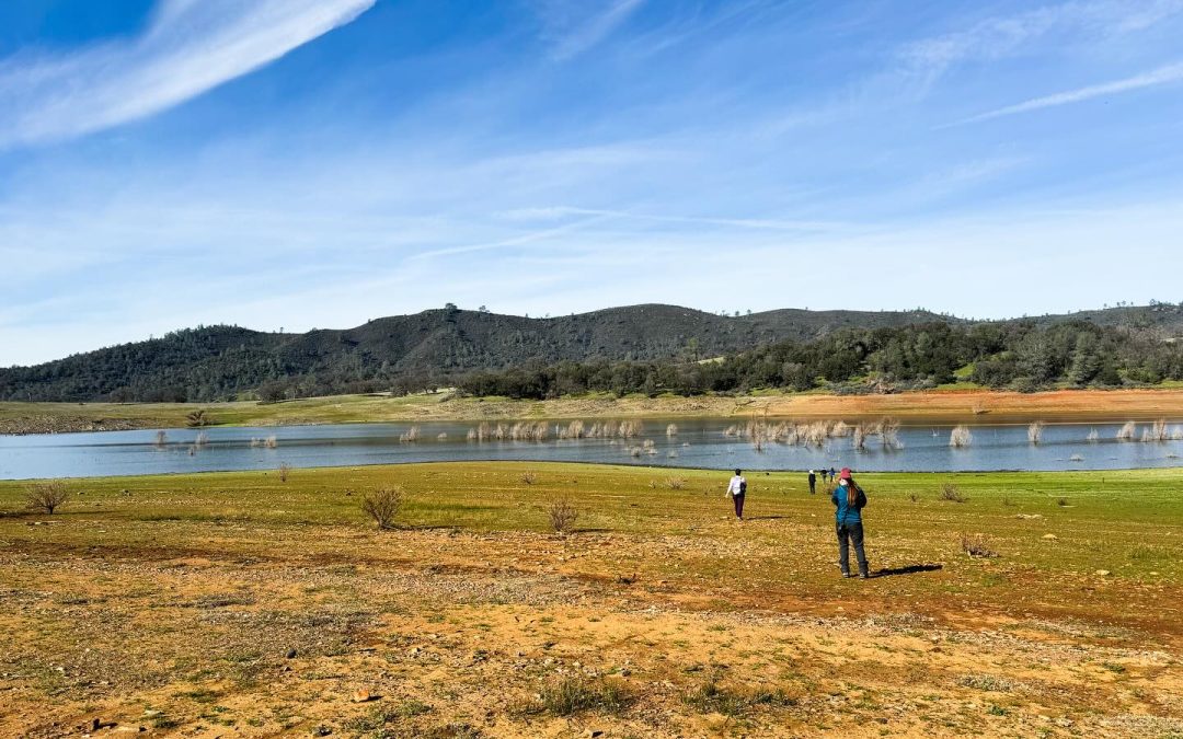 Folsom’s Playground: Unveiling a City Where Parks Reign Supreme