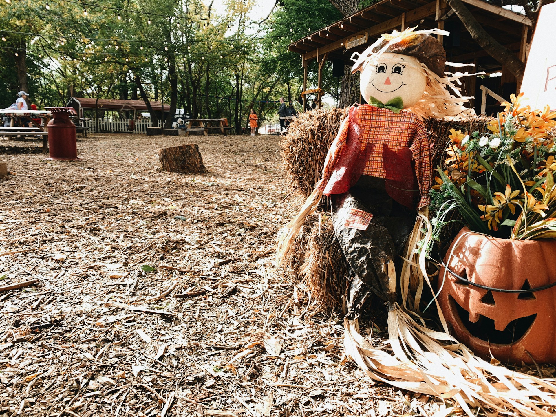 Discover Folsom's Fall Festival Fun: Activities for Everyone!