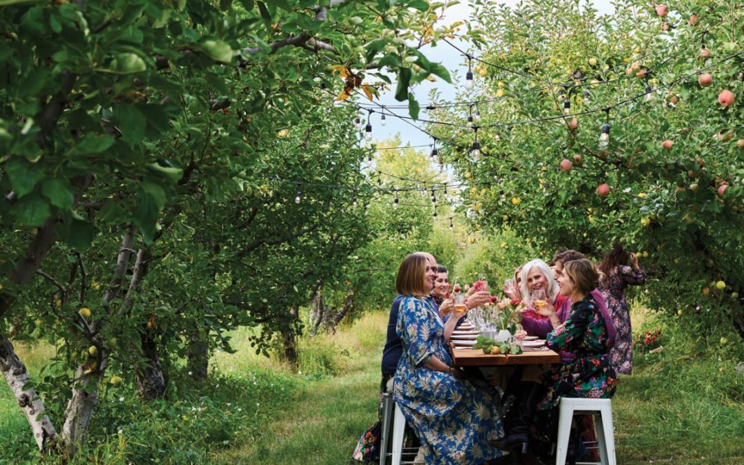 Family-Friendly Fall Activities: Auburn’s Apple Lane Orchard