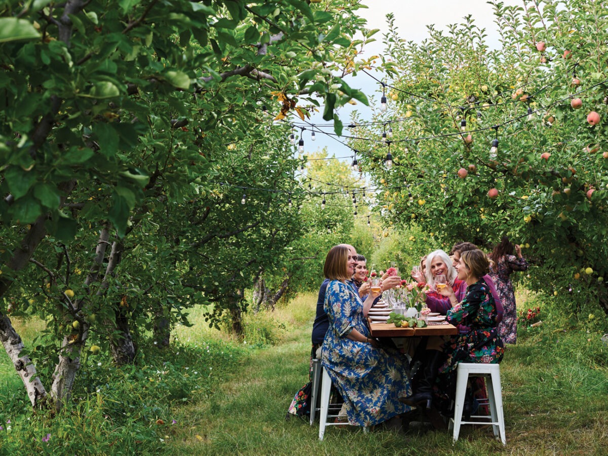 Family-Friendly Fall Activities: Auburn's Apple Lane Orchard