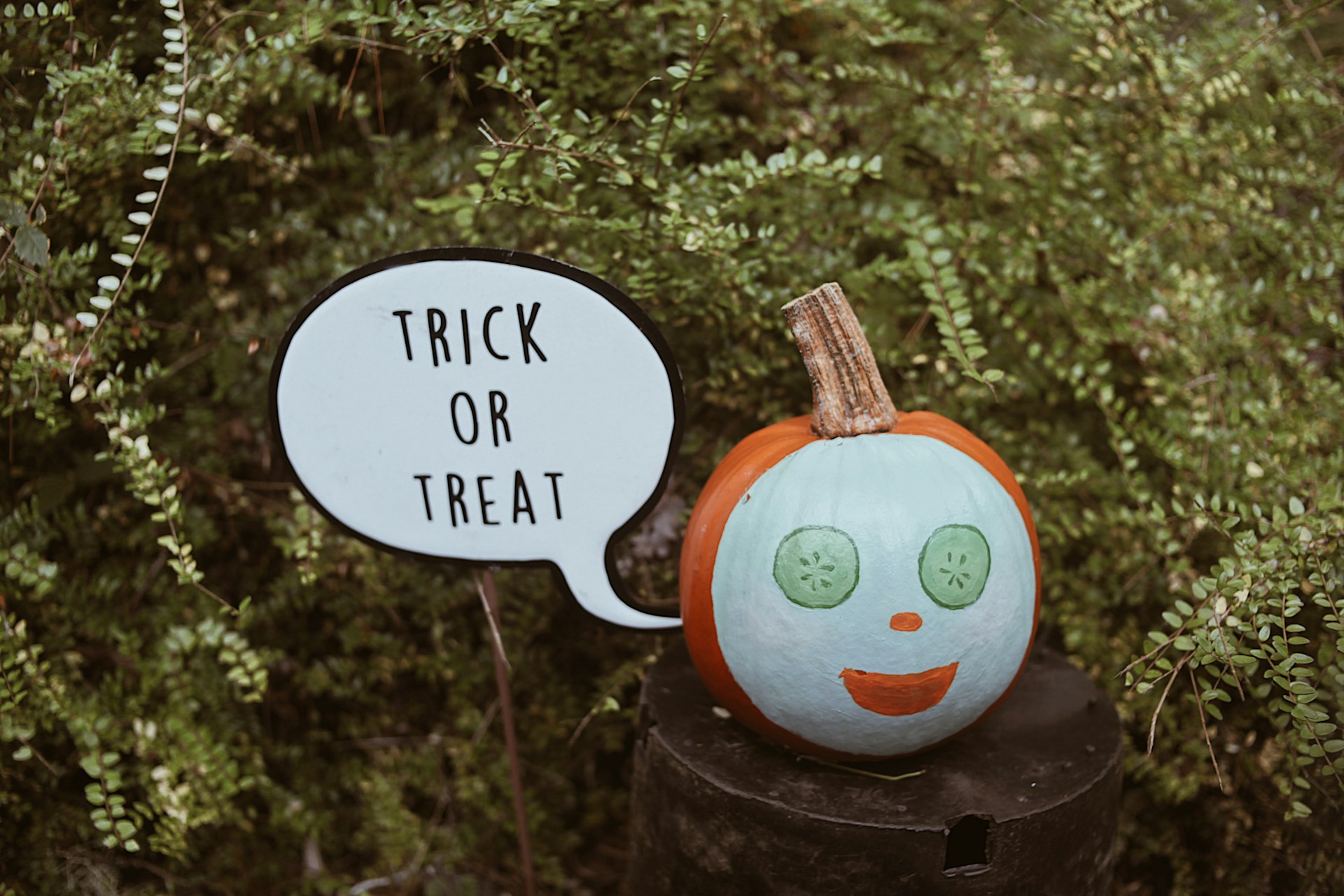 Halloween in Folsom: Festifall and Trick-or-Treating Guide