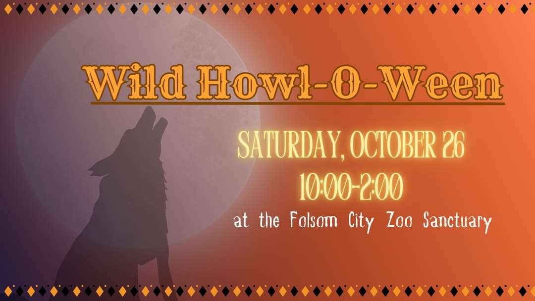 Spooky Season Comes to Folsom Zoo: Howl-O-Ween 2024