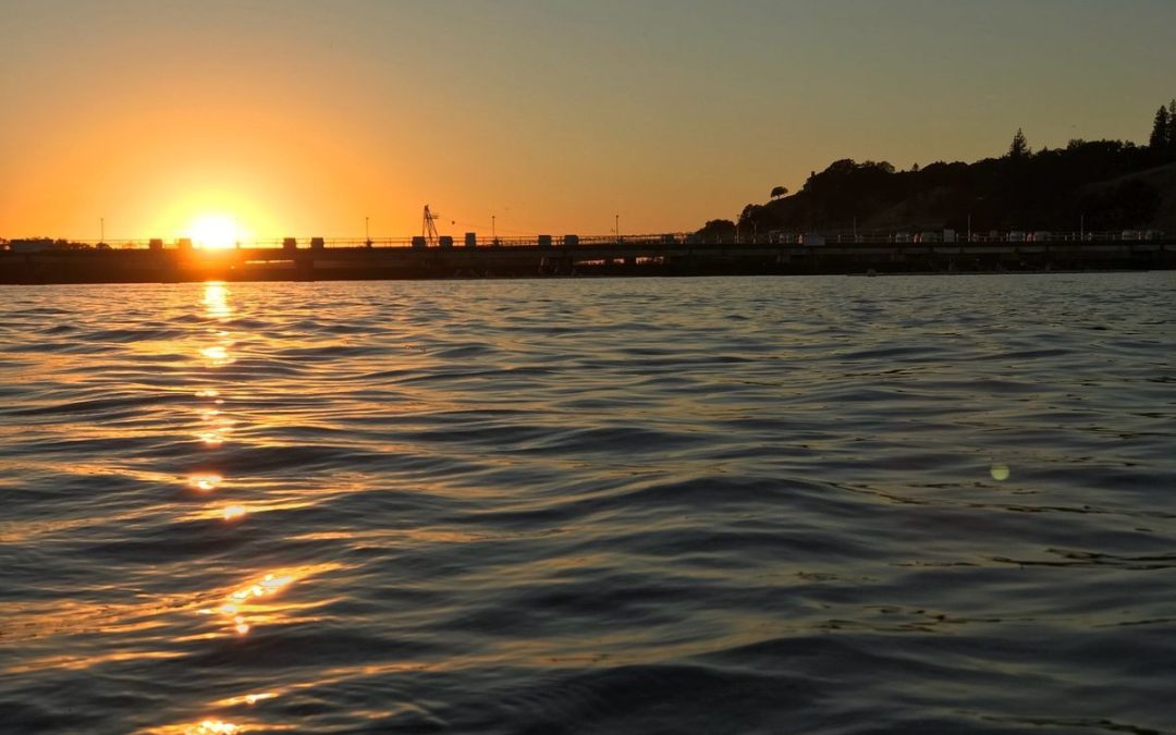 Polar Plunge 2025: Kickstart Your New Year at Lake Natoma in Folsom!