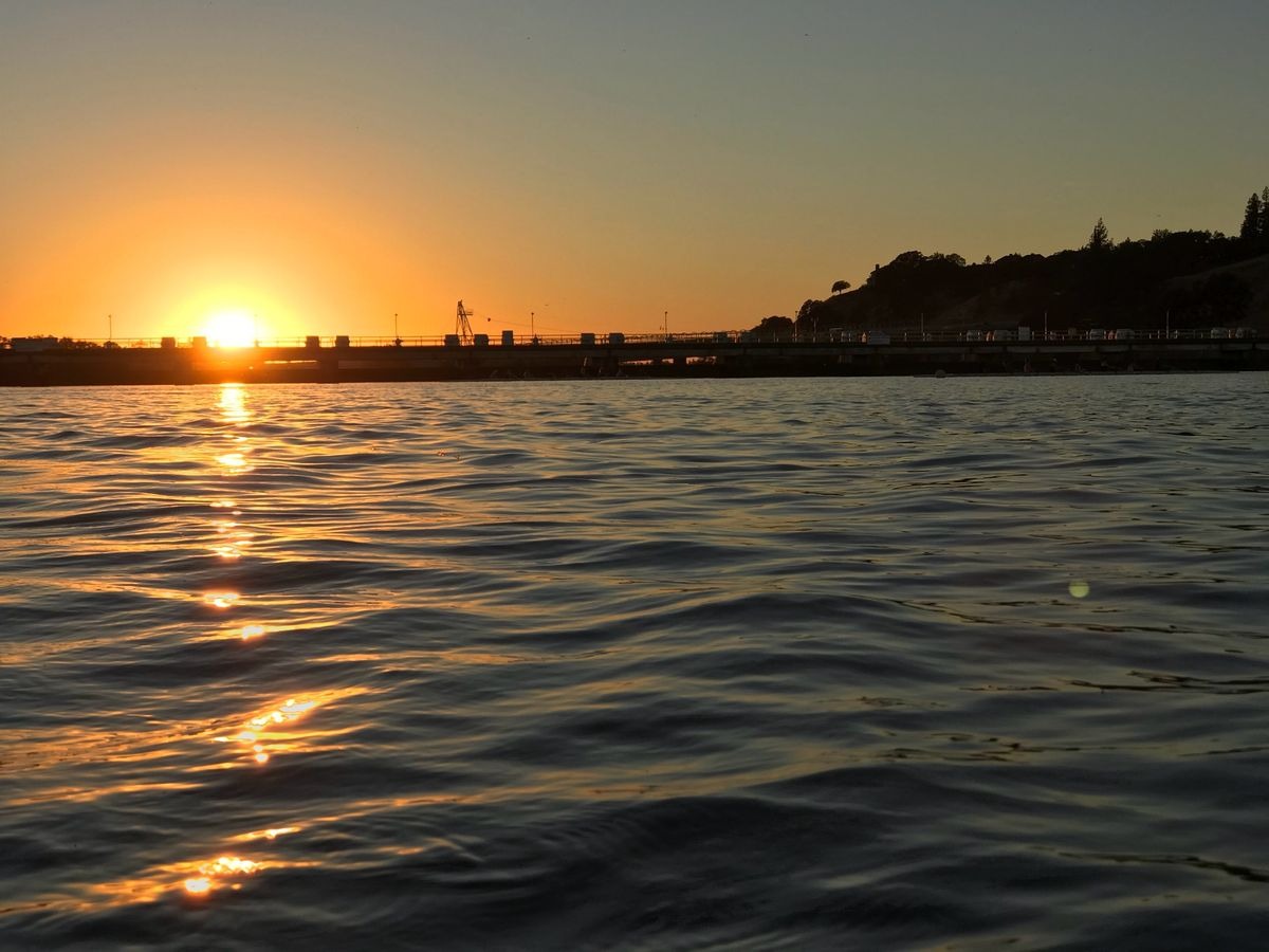 Polar Plunge 2025: Kickstart Your New Year at Lake Natoma in Folsom!